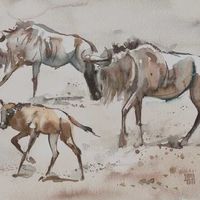 wildebeest + calf, line sketch