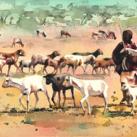 Boy herding goats