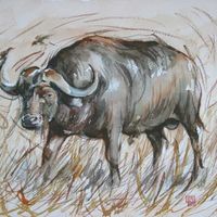 Buffalo line sketch