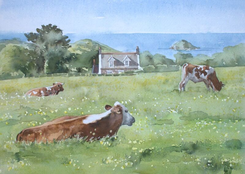 Cows at La Peigneurie