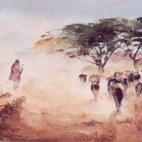 Dusty herd