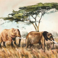 Elephants