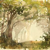 Leafy lane path, Sark