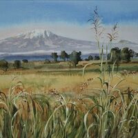 Kilimanjaro and grasses