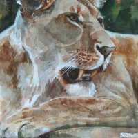 Lioness