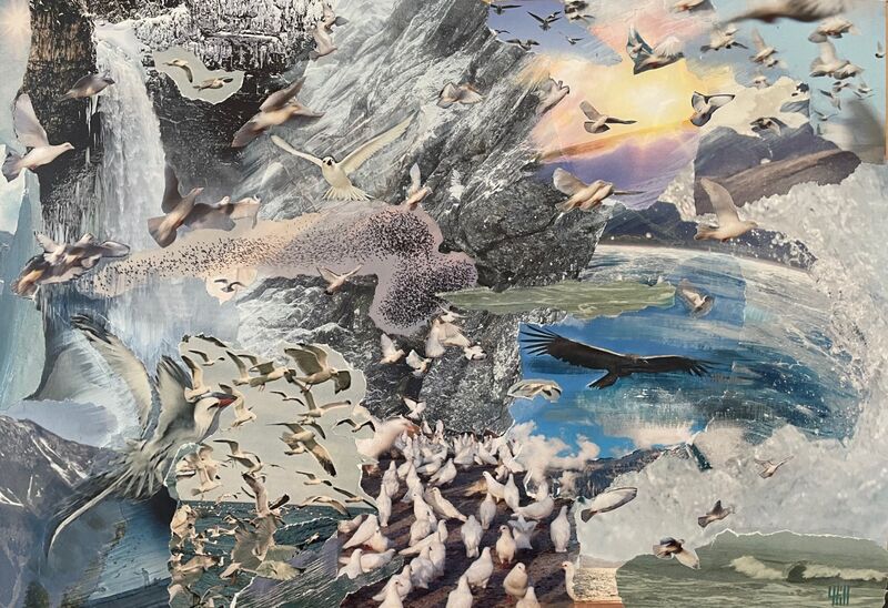 Winter Migration