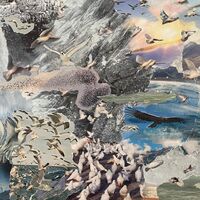 Winter Migration