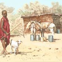 Boy with huts & Donkeys