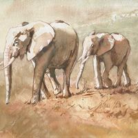 Elephant sister & baby