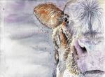 pastures new