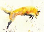 leap of faith