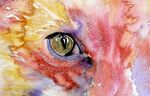 eye focus