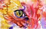 eye focus