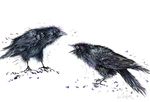 stone the crows