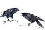 stone the crows