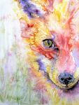 one eye