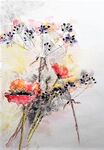 cow parsley and poppies