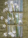 flowers in the window