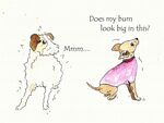 does my bum look big in this?