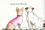 love is in the air