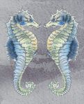 seahorses