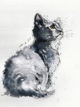 cat that got the cream