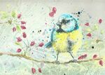 bluebird