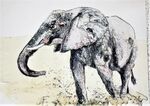 ink elephant