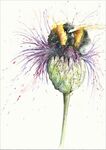 bee happy