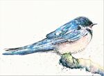 one swallow a summer does not make