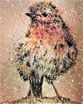 christmas robin