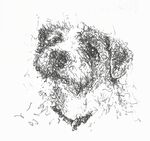 the parson
