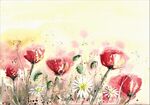 poppy fields