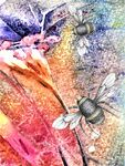 bee-dazzled
