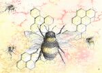 flight of the bumble bee