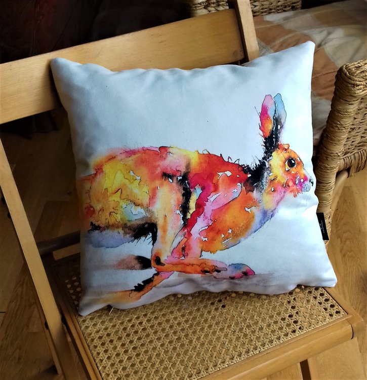 not a tortoise in sight cushion