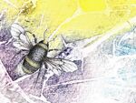 bee bumble