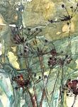 cow parsley (green)