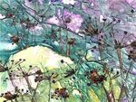 cow parsley (blue)