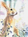 hare-belle