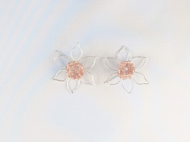Daffodil and Narcissus Collection