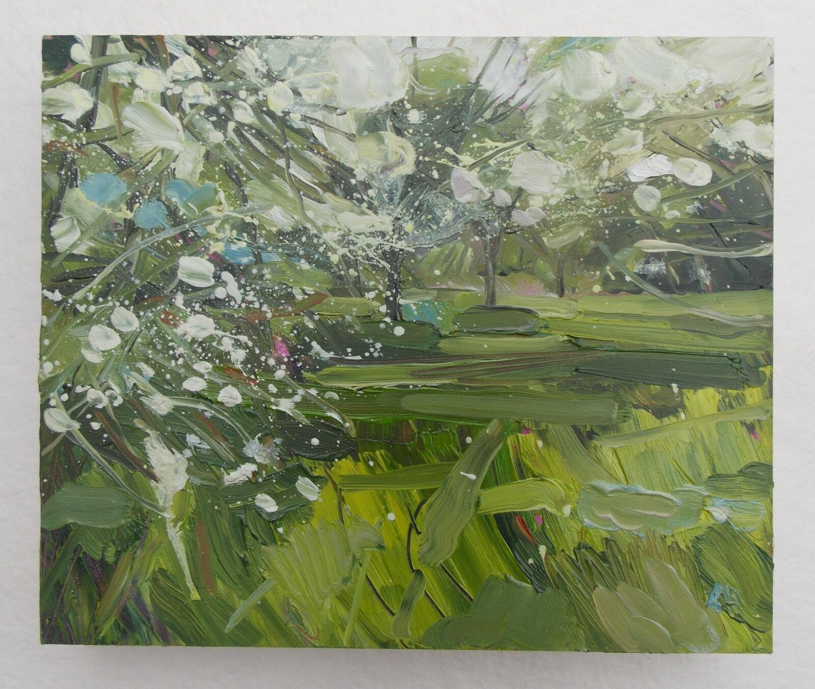Apple Orchard Blossom, oil on panal, Lucy Hawkins, £220