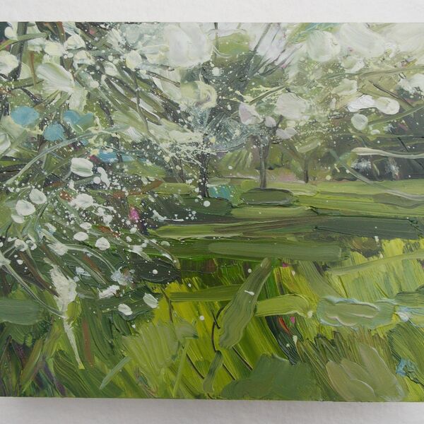 Apple Orchard Blossom, oil on panal, Lucy Hawkins, £220