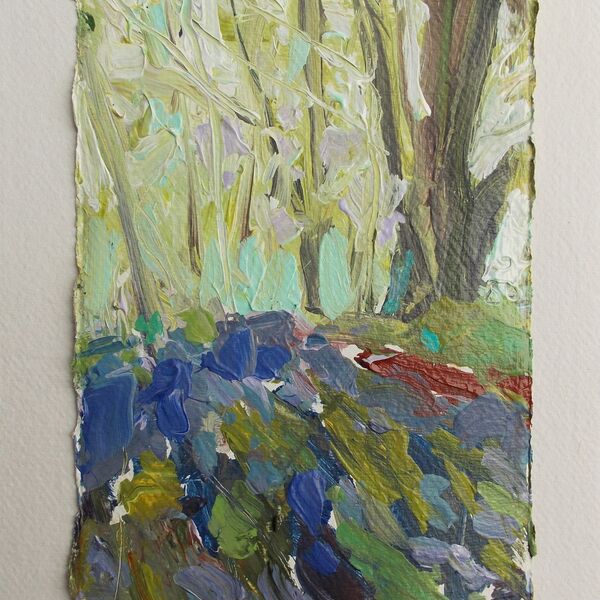 Bluebell Woods