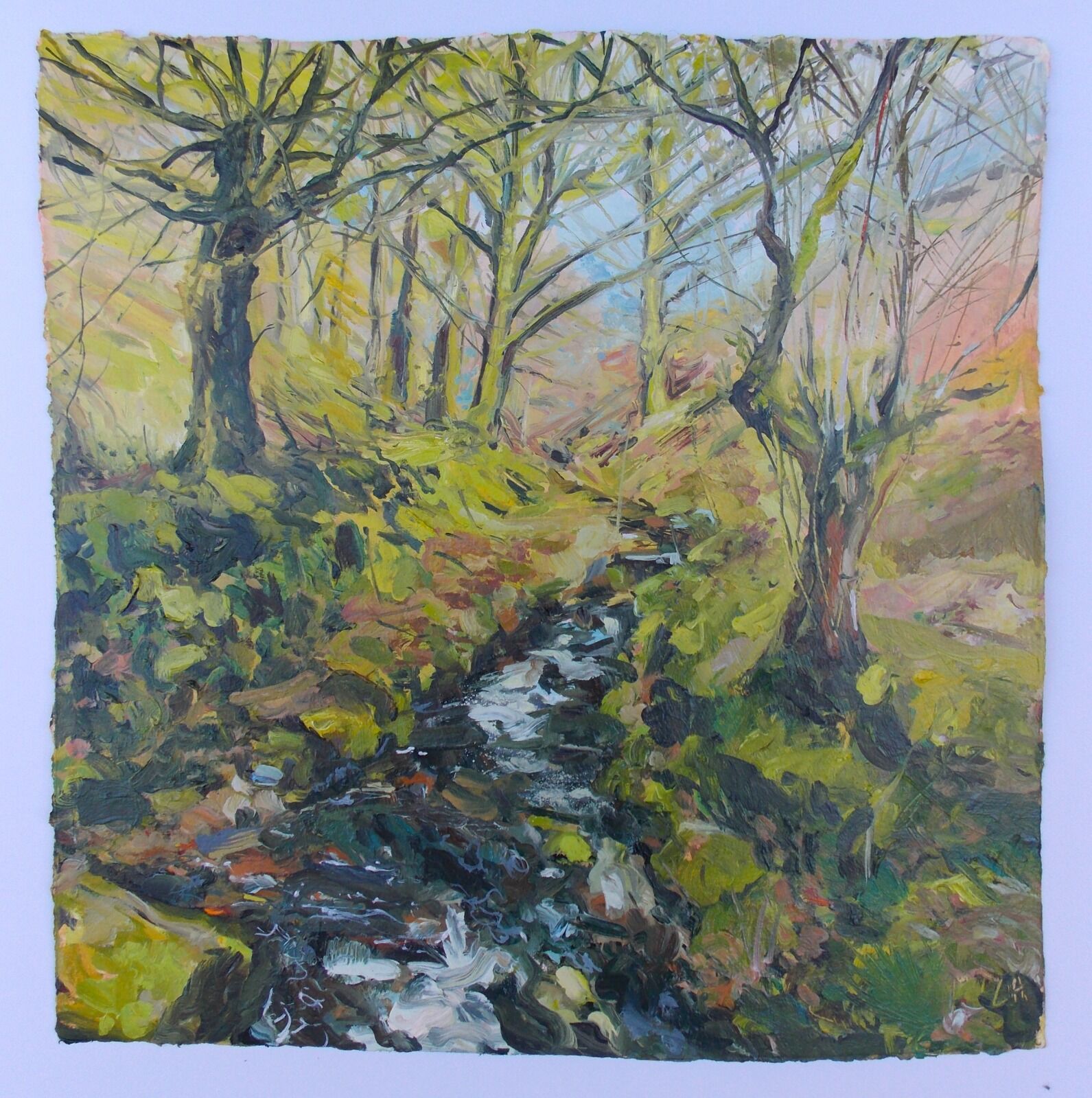 Copse, Oil on gessoed paper, Lucy Hawkins, 40x40cm £620