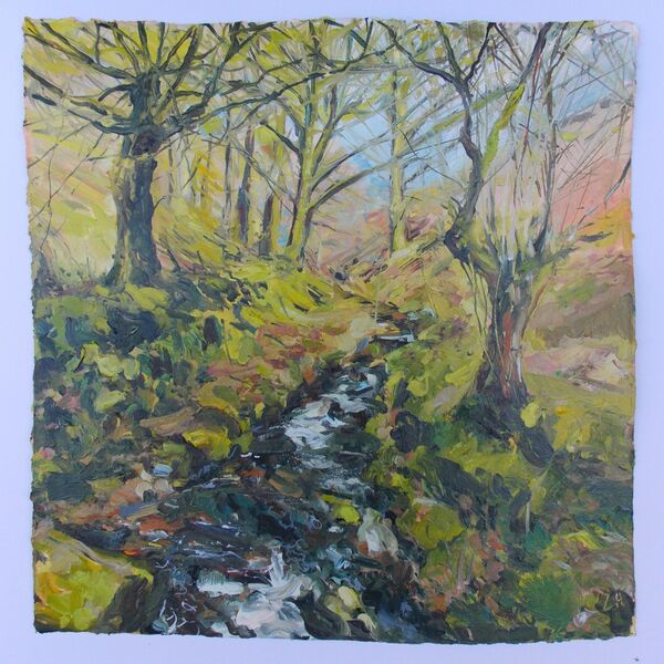 Copse, Oil on gessoed paper, Lucy Hawkins, 40x40cm £620