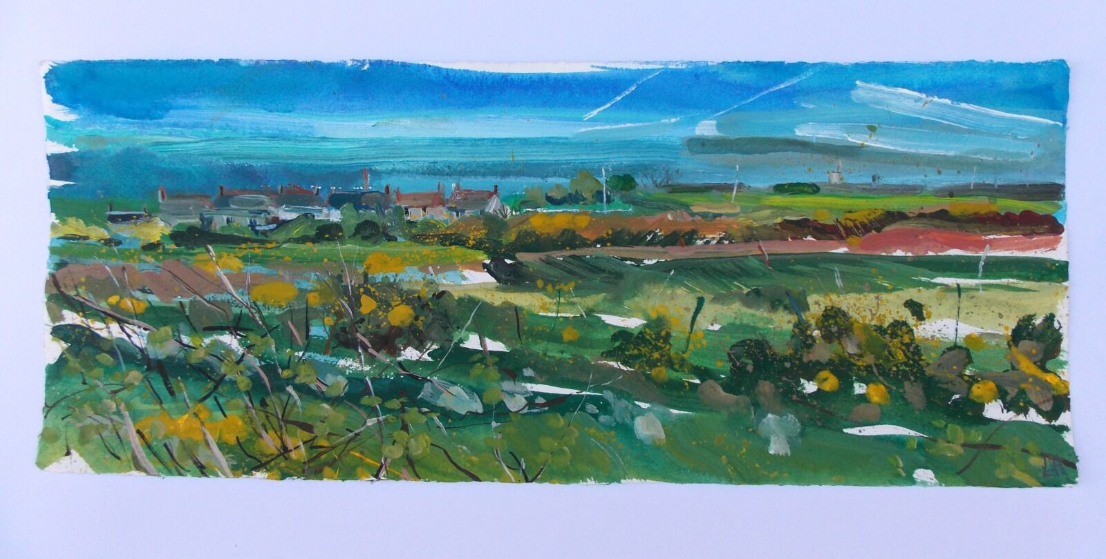 Cornish Summer Lucy Hawkins Gouache on Two River paper 51x21cm  frame 38x66cm £420