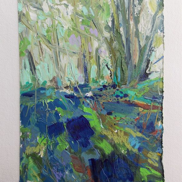 Lewesdon Bluebells (sold)