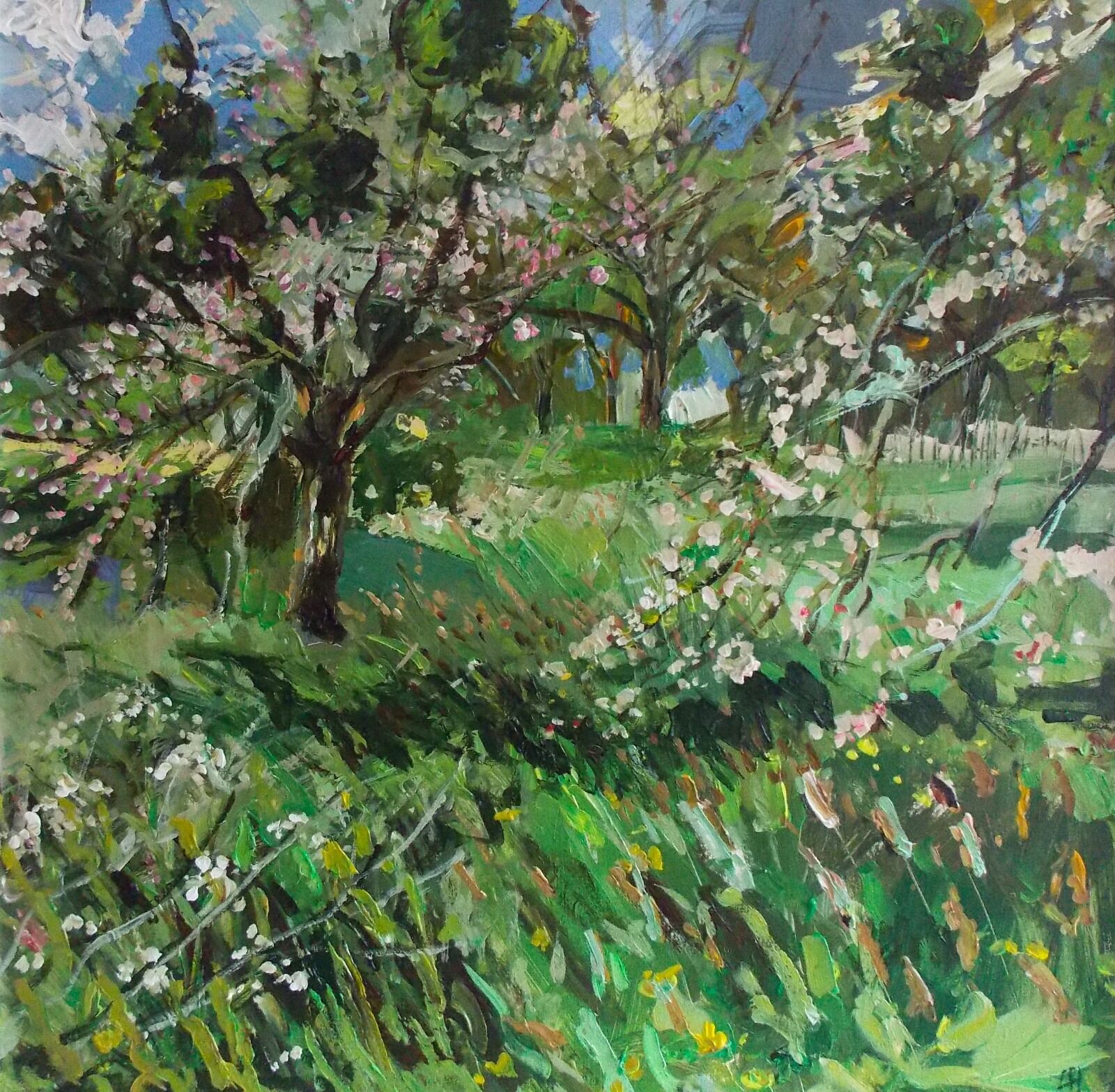 Orchard, Acrylic on canvas board, 50x50cm, Lucy Hawkins £720