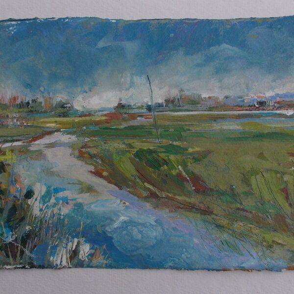 Parrett Towards Langport